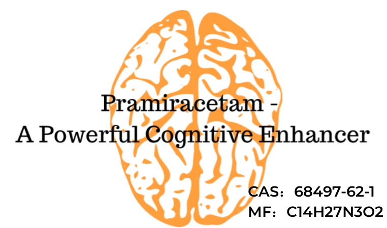 Pramiracetam Pramiracetam