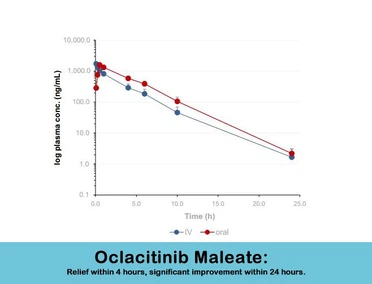 What Are The Advantages Of Oclacitinib Maleate What Are The Advantages Of Oclacitinib Maleate