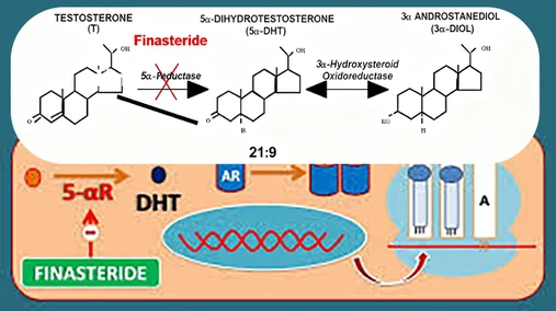 Finasteride raw powder A Finasteride raw powder A