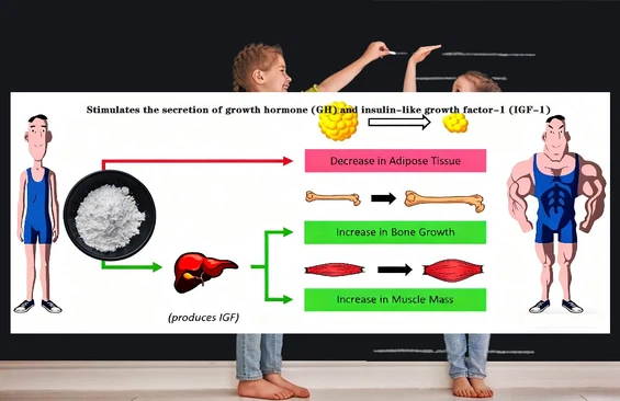 23MK 777 D jpg 23MK 777 D jpg